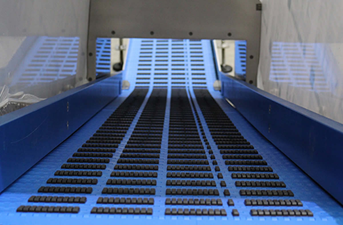 Metal Detector Conveyor from ENE Conveyors | UK & Ireland